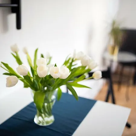 Apartment Galeria